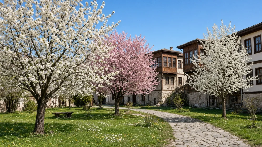 Bahar sabahı çiçek açmış beyaz ve pembe meyve ağaçları, taş yol ve cumbalı tarihi evler